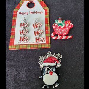 Small Lot Of Costume Jewelry Multicolor Christmas Brooch, Earrings and N…